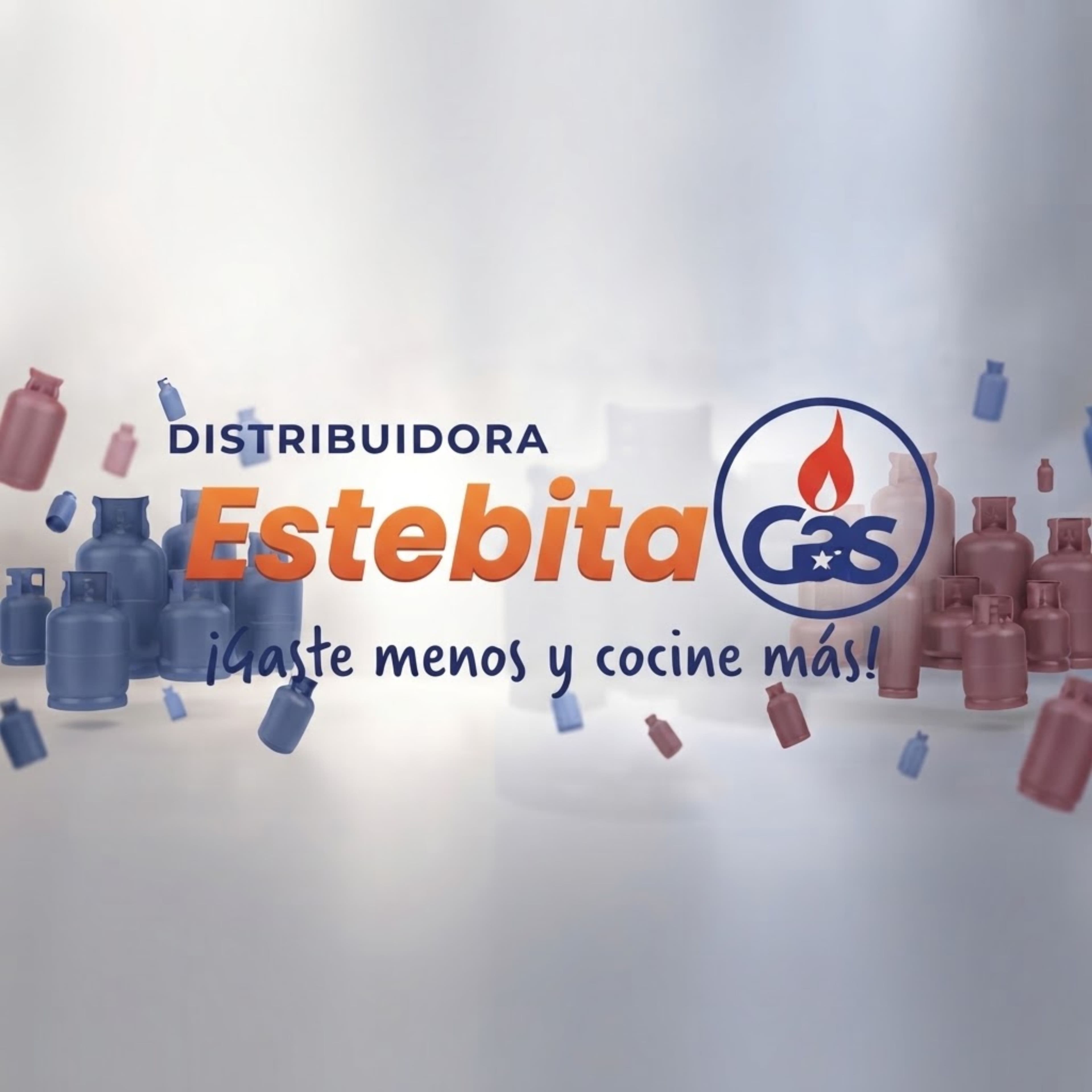 Distribuidora Estebita Gas (El Limon) 1