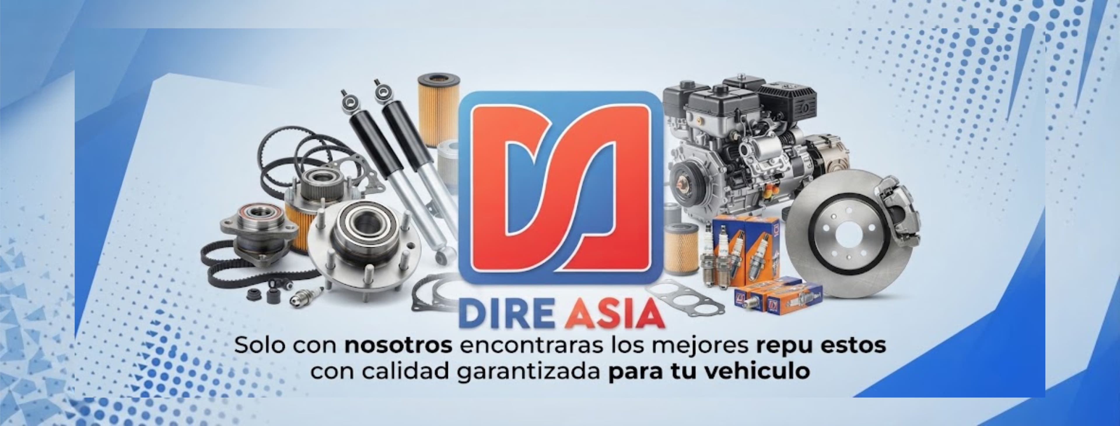 MULTIREPUESTOS DIREASIA
