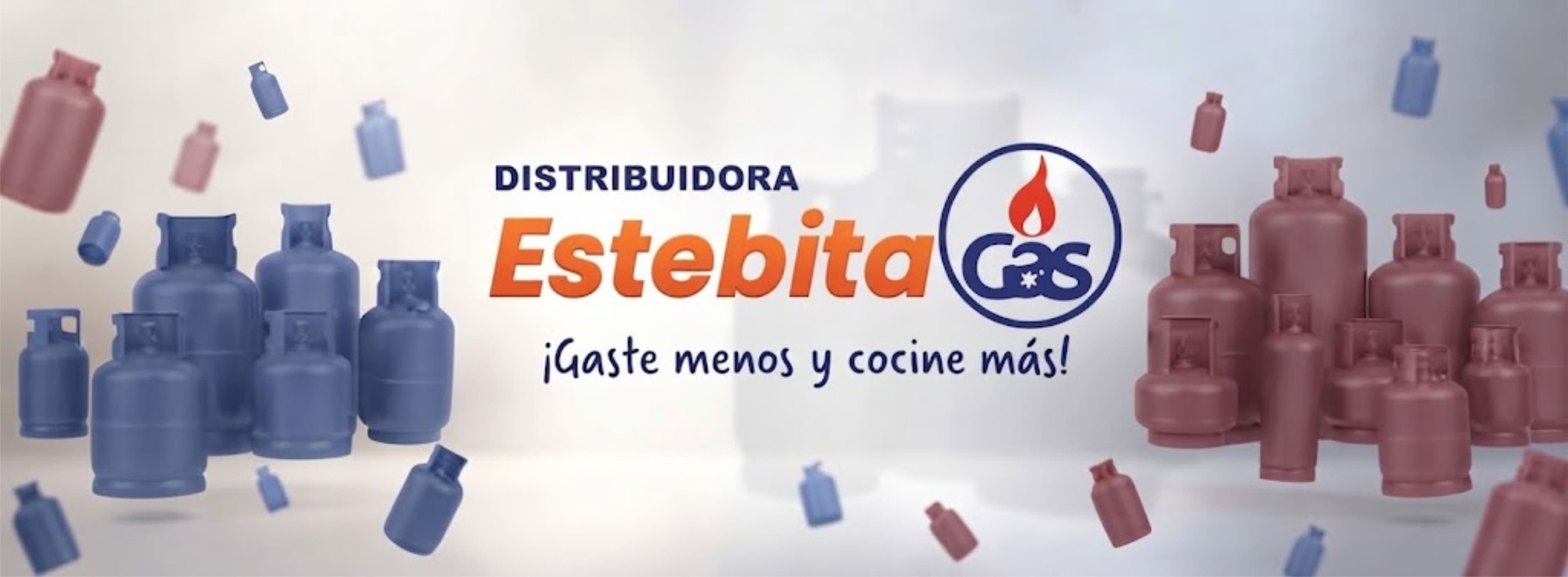 Distribuidora Estebita Gas (El Limon)